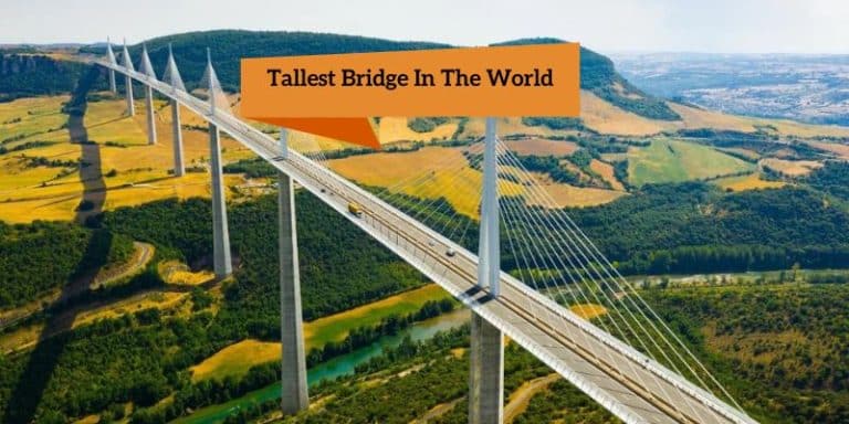 Tallest Bridge In The World, Millau Viaduct Stand at (336.4 m)