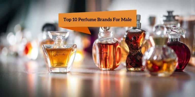 Top 10 Perfume Brands For Male: Best Perfume Brands In 2023