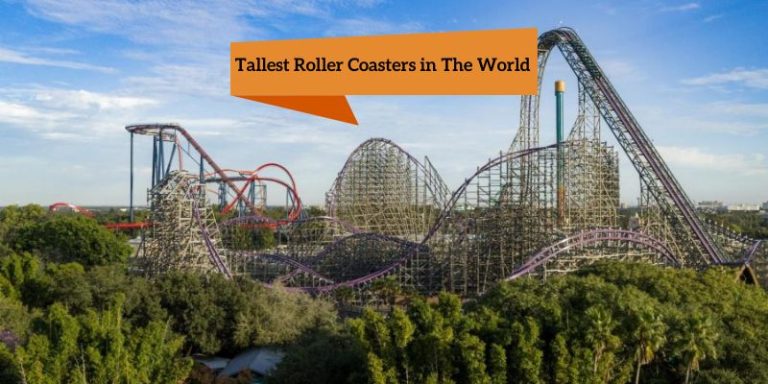 Tallest Roller Coasters In The World: Top 10 Longest In 2024