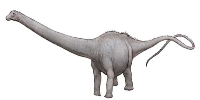 tallest Dinosaurs in the world