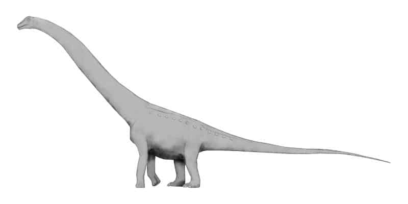 Puertasaurus reuili