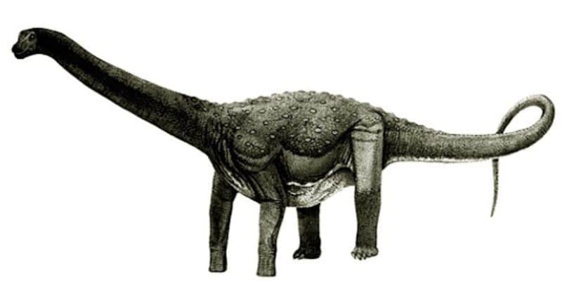 Ruyangosaurus giganteus