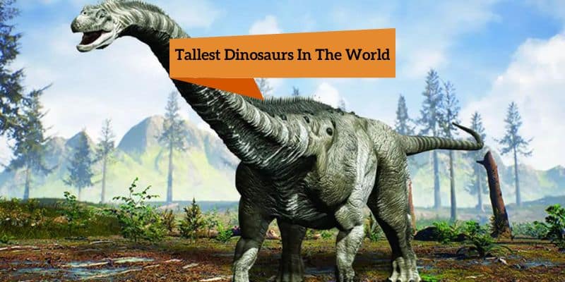 Tallest Dinosaurs In The World