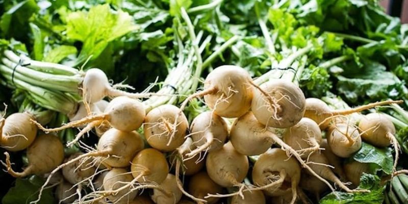 White Beets