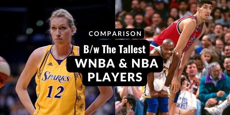  WNBA & NBA Players